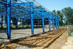 p1016299